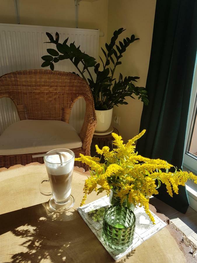Apartament Pod Jelonkiem Szklarska Poręba Zewnętrze zdjęcie